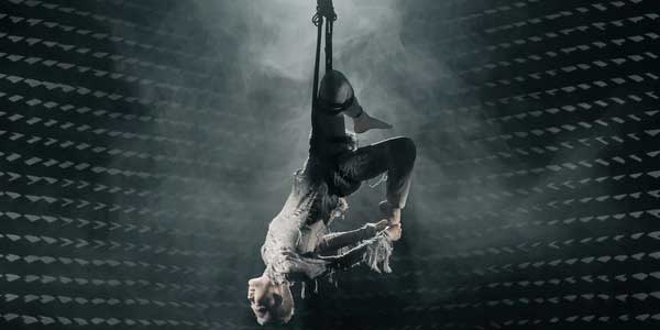 12211604 6583e36be4891